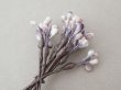 画像12: アンティーク ペップ 布花用 花芯 グレイッシュパープル (12)