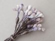 画像11: アンティーク ペップ 布花用 花芯 グレイッシュパープル (11)