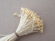 画像3: アンティーク ペップ 布花用 花芯 アイボリー (3)