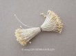 画像1: アンティーク ペップ 布花用 花芯 アイボリー (1)
