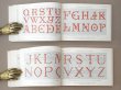 画像6: アンティーク DMC 刺繍図案帳 ALPHABET DE LA BRODEUSE - BIBLIOTHEQUE D.M.C - (6)