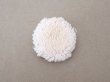 画像11: アンティーク 水色のパフ付 パウダーケース ロカイユ装飾 (11)
