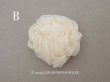 画像6: アンティーク シルクシフォン 薔薇の布花 アイボリー (6)