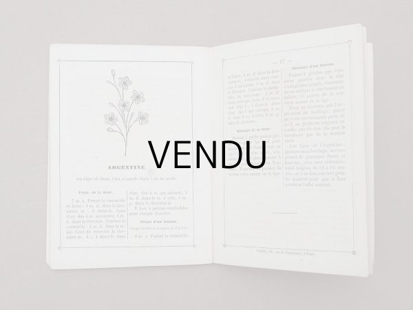 画像7: 1864〜1882年頃 アンティーク 花モチーフ クロシェ編み ALBUM POUR OUVRAGES DE FLEURS AU CROCHET N 45 - MAISON SAJOU - (7)