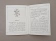 画像8: 1864〜1882年頃 アンティーク 花モチーフ クロシェ編み ALBUM POUR OUVRAGES DE FLEURS AU CROCHET N 45 - MAISON SAJOU - (8)