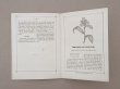画像9: 1882年 アンティーク 花モチーフ クロシェ編み ALBUM POUR OUVRAGES DE FLEURS AU CROCHET N 44 - MAISON SAJOU - (9)