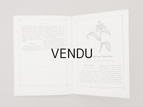 画像9: 1882年 アンティーク 花モチーフ クロシェ編み ALBUM POUR OUVRAGES DE FLEURS AU CROCHET N 44 - MAISON SAJOU - (9)