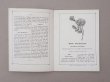 画像6: 1882年 アンティーク 花モチーフ クロシェ編み ALBUM POUR OUVRAGES DE FLEURS AU CROCHET N 44 - MAISON SAJOU - (6)