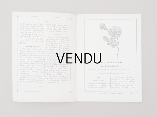画像6: 1882年 アンティーク 花モチーフ クロシェ編み ALBUM POUR OUVRAGES DE FLEURS AU CROCHET N 44 - MAISON SAJOU - (6)
