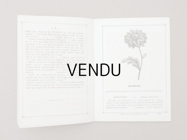 画像6: 1864〜1882年頃 アンティーク 花モチーフ クロシェ編み ALBUM POUR OUVRAGES DE FLEURS AU CROCHET N 45 - MAISON SAJOU - (6)