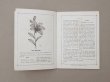 画像4: 1864〜1882年頃 アンティーク 花モチーフ クロシェ編み ALBUM POUR OUVRAGES DE FLEURS AU CROCHET N 45 - MAISON SAJOU - (4)