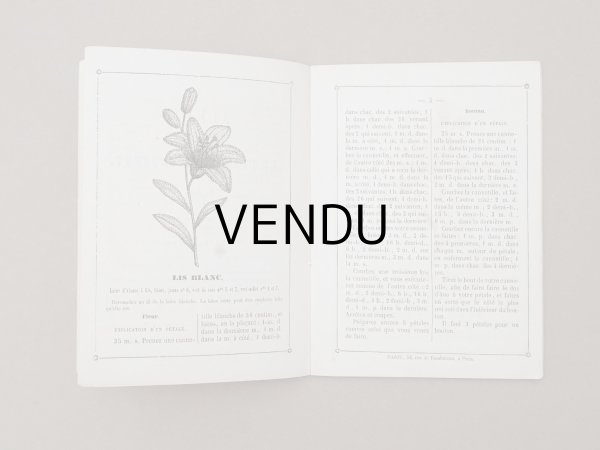 画像4: 1864〜1882年頃 アンティーク 花モチーフ クロシェ編み ALBUM POUR OUVRAGES DE FLEURS AU CROCHET N 45 - MAISON SAJOU - (4)