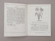 画像5: 1882年 アンティーク 花モチーフ クロシェ編み ALBUM POUR OUVRAGES DE FLEURS AU CROCHET N 44 - MAISON SAJOU - (5)