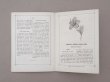 画像8: 1882年 アンティーク 花モチーフ クロシェ編み ALBUM POUR OUVRAGES DE FLEURS AU CROCHET N 44 - MAISON SAJOU - (8)
