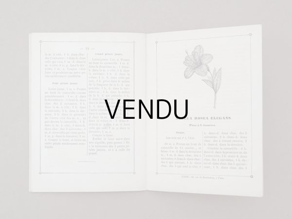 画像8: 1882年 アンティーク 花モチーフ クロシェ編み ALBUM POUR OUVRAGES DE FLEURS AU CROCHET N 44 - MAISON SAJOU - (8)