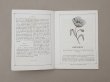 画像5: 1864〜1882年頃 アンティーク 花モチーフ クロシェ編み ALBUM POUR OUVRAGES DE FLEURS AU CROCHET N 45 - MAISON SAJOU - (5)