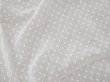 画像2: アンティーク  ドット刺繍入り コットンオーガンジー オフホワイト ファブリック  (2)