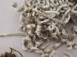 画像2: アンティーク 刺繍用 シルクベルベットの紐 4点セットシェニール糸 シュニーユ糸 (2)