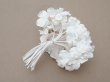 画像4: アンティーク 白菫の布花 パルマスミレ (4)