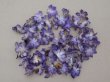 画像8: ＊蚤の市セット＊ロココモチーフ&トリムと菫の布花のセット (8)