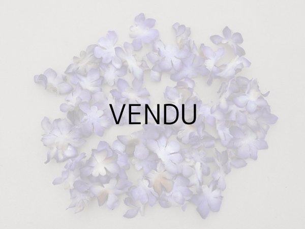 画像8: ＊蚤の市セット＊ロココモチーフ&トリムと菫の布花のセット (8)