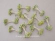 画像1: ＊蚤の市セット＊アンティーク 花芯 ペップ 10点のセット (1)