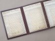 画像3: 19世紀末 アンティーク カンヌティーユのサンプラー 金の刺繍糸 (3)