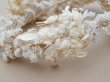 画像7: 19世紀末 アンティーク 薔薇の花冠 コットンオーガンジー ティアラ (7)