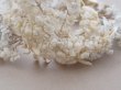 画像14: 19世紀末 アンティーク 薔薇の花冠 コットンオーガンジー ティアラ (14)