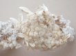画像12: 19世紀末 アンティーク 薔薇の花冠 コットンオーガンジー ティアラ (12)