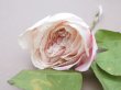 画像2: アンティーク パウダーピンクの薔薇の布花 クウォーターロゼット咲き (2)