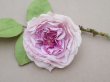 画像3: アンティーク ライラックピンクの薔薇の布花 クウォーターロゼット咲き (3)