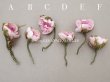 画像2: アンティーク 小さな薔薇の布花  パウダーピンク ピース売り クウォーターロゼット咲き (2)