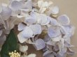 画像3: アンティーク 紫陽花の大きな布花 淡い青紫  (3)