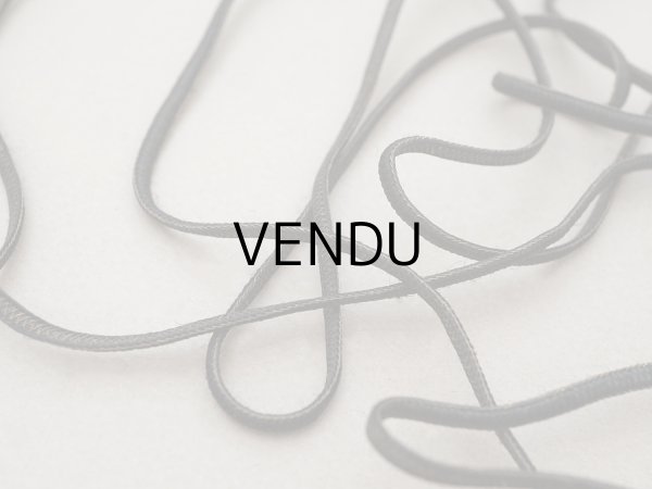 画像3: 19世紀末 アンティーク トリム ブラウン＆ブラック＆金糸 3mm幅 2.54〜4.5m (3)