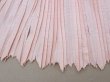 画像9: 19世紀末 アンティーク  ベビーピンク シルク製プリーツ ドレスの裾  2m 幅14cm (9)