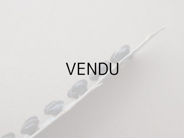 画像4: アンティーク マザーオブパール製 極小 ボタン 6mm 12ピース シェルボタン チャコールグレー (4)