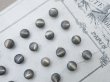 画像12: アンティーク マザーオブパール製 極小 ボタン 5mm 24ピース シェルボタン チャコールグレー (12)