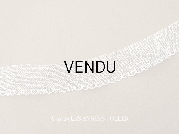 画像1: アンティーク ドット柄 スカラップ チュールレース 2.5cm幅 (1)