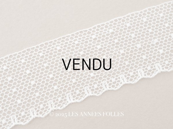 画像7: アンティーク ドット柄 スカラップ チュールレース 2.5cm幅 (7)