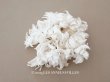 画像1: アンティーク ヒヤシンスの布花 ホワイト (1)