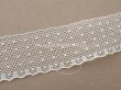 画像6: アンティーク ドット柄 スカラップ チュールレース 2.5cm幅 (6)