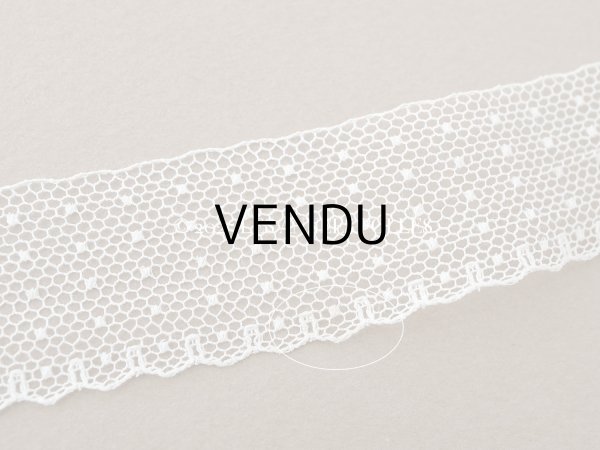 画像6: アンティーク ドット柄 スカラップ チュールレース 2.5cm幅 (6)