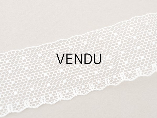 画像5: アンティーク ドット柄 スカラップ チュールレース 2.5cm幅 (5)