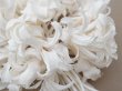 画像3: アンティーク ヒヤシンスの布花 ホワイト (3)