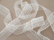 画像4: アンティーク ドット柄 スカラップ チュールレース 3cm幅 (4)
