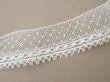 画像3: アンティーク ドット柄 スカラップ チュールレース 3.5cm幅 (3)