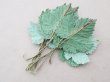 画像6: *蚤の市セット* アンティーク 布花用リーフのセット (6)