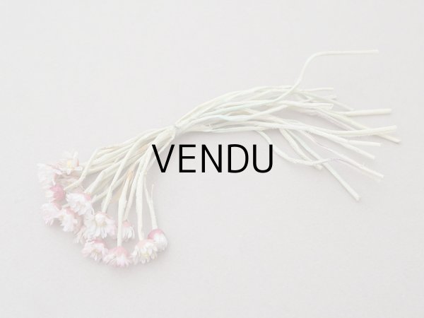 画像13: ＊蚤の市＊アンティーク デイジーの布花 16輪のセット (13)