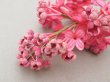 画像5: 【クリスマスセール2025対象外】アンティーク ライラックの布花 チェリーピンク (5)